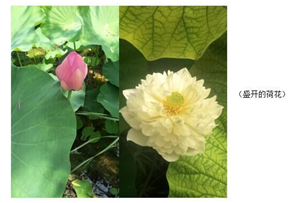 20190717184440134013.png 20190717184440134013.png